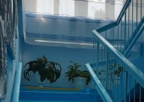 Спортивный участок, территория